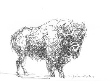 Bison #02 thumb