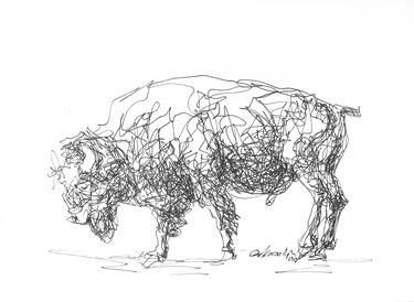 Bison #03 thumb