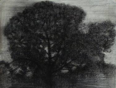 Print of Minimalism Tree Drawings by Gyorgy Kiraly