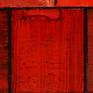 acrylic on canvas. Pasta texture.