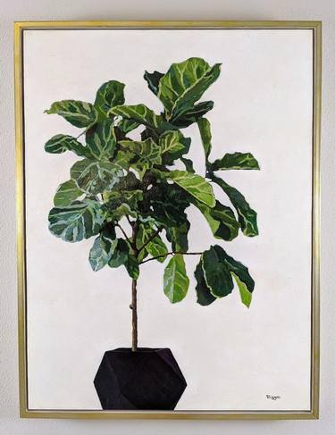 Fiddle Leaf Fig thumb