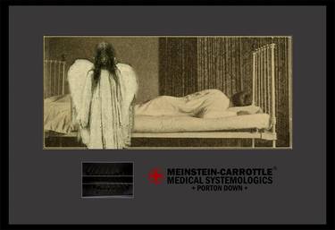 Meinstein-Carrottle at Porton Down: Trusted Narco-Necrotic Research [Limited edition artwork] thumb