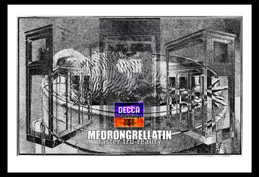 Decca Medrongrellatin Bird left [Limited edition artwork] thumb
