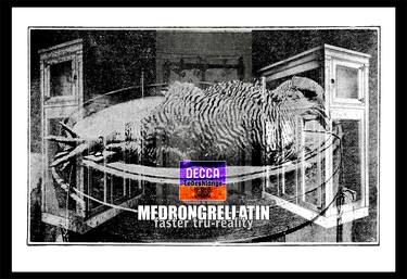 Decca Medrongrellatin Bird right [Limited edition artwork] thumb