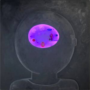 Private Universe