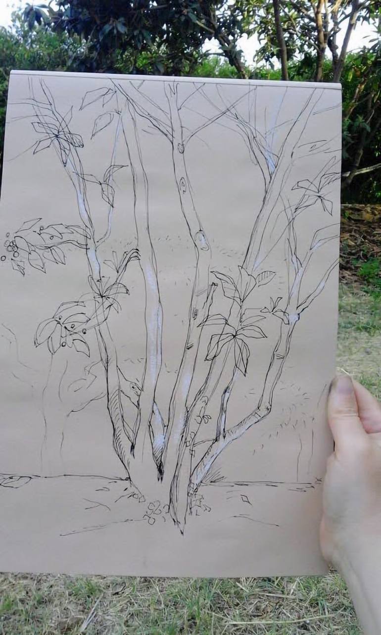 Original Botanic Drawing by Francesca Tesoriere