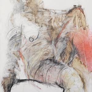 Collection Under $500