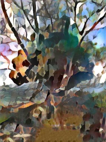 Original Abstract Tree Paintings by Ezra Bejar