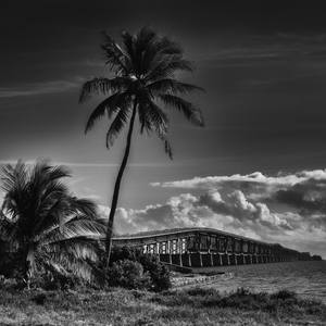 Collection Beach Art Photography