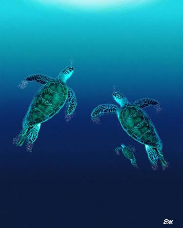 Sea Turtle Family thumb