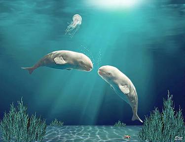 Beluga Whales Ocean Habitat thumb