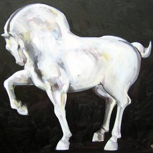 Collection Horse