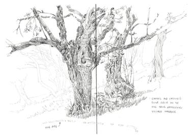 Print of Documentary Nature Drawings by Richard Johnson
