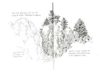 Original Nature Drawings by Richard Johnson