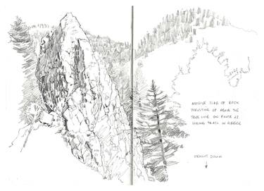 Print of Documentary Nature Drawings by Richard Johnson
