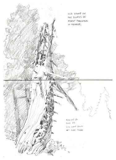 Original Documentary Nature Drawings by Richard Johnson