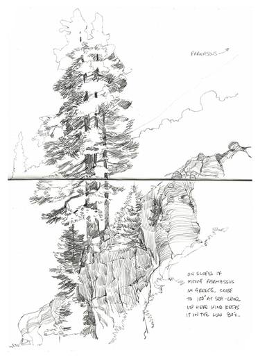 Original Nature Drawings by Richard Johnson