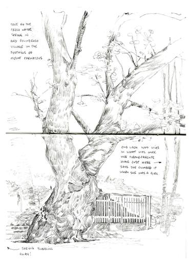 Original Nature Drawings by Richard Johnson