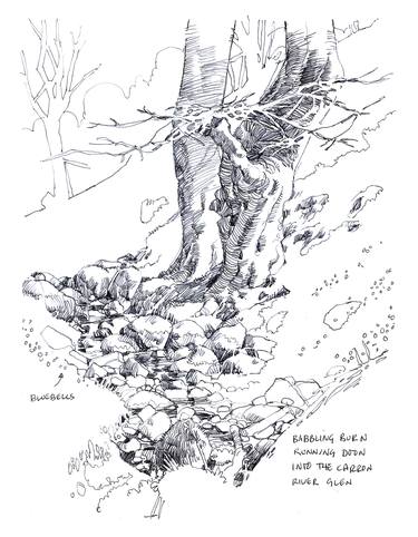 Original Nature Drawings by Richard Johnson