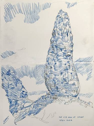 Print of Nature Drawings by Richard Johnson
