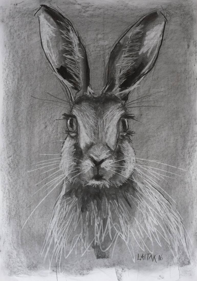 March Hare Drawing by Ron Laitak | Saatchi Art