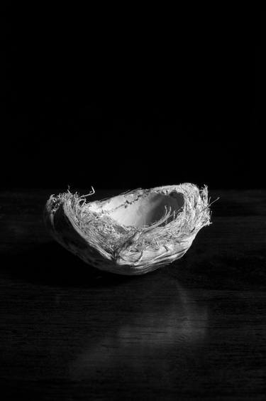 Print of Fine Art Still Life Photography by Clint Andre Samuel