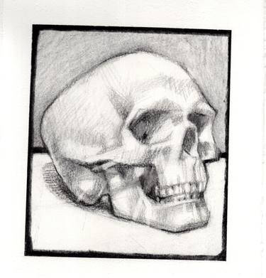 Skull Study thumb