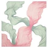 Collection Best of 2025: Drawing