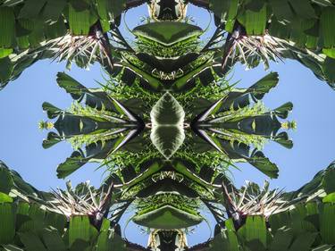 Print of Abstract Botanic Photography by Murielle Colas