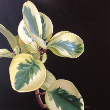 Original Realism Botanic Paintings by Lide Kaltzada