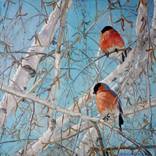 Bullfinches by Anatolii Varvarov