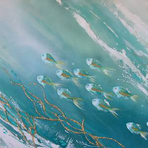 School of Fish