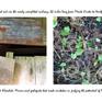 view additional image 6