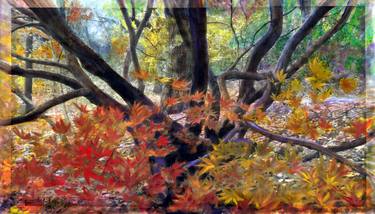Original Nature Paintings by Bezalel Levy