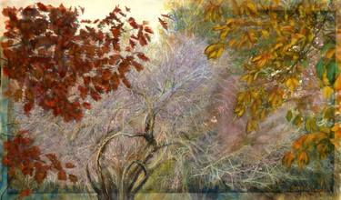 Original Nature Paintings by Bezalel Levy