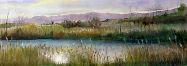 Original Landscape Paintings by Bezalel Levy