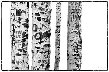 Aspen Bark Carvings - 1/1 Limited Single Edition 24x16 thumb