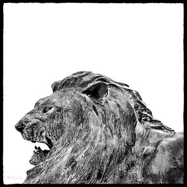 Weathered Bronze—The Lion - 1/1 Limited Single Edition 18x18 thumb