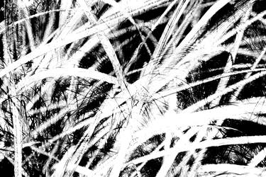 Grass Expression #1 - 1/1 Limited Single Edition 24x16 thumb