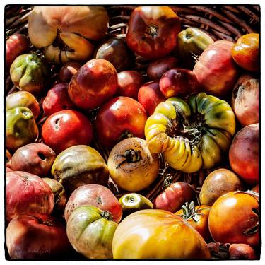 Heirloom Tomatoes Medley - 1/1 Limited Single Edition 16x16 thumb