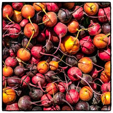 Stacked Heirloom Radishes - 1/1 Limited Single Edition 16x16 thumb