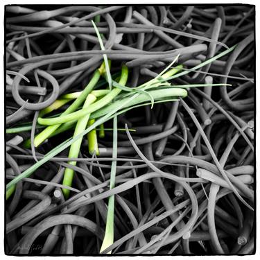 Garlic Scapes Abstract - 1/1 Limited Single Edition 16x16 thumb