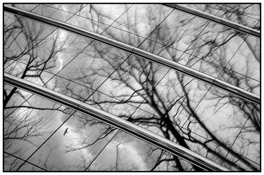 Blustery Day Reflection - 1/1 Limited Single Edition 24x16 thumb