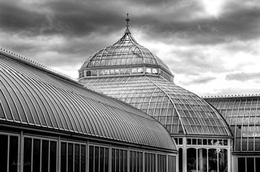 Phipps Conservatory - 1/1 Limited Single Edition 24x16 thumb