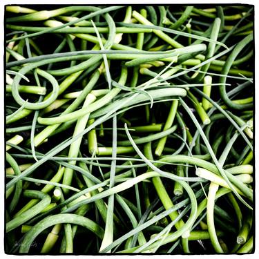 Heirloom Garlic Scapes - 1/1 Limited Single Edition 16x16 thumb