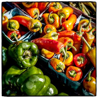 Print of Still Life Photography by Michel Godts