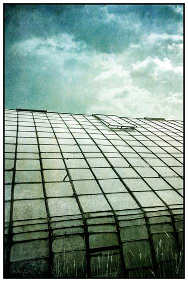 Clearing Sky Over Greenhouse - 1/1 Limited Single Edition 20x30 thumb