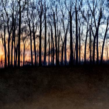 Rippled Forest At Sunset - 1/1 Limited Single Edition 20x20 thumb