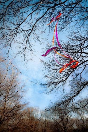 Ribbons In Bare Trees - 1/1 Limited Single Edition 20x30 thumb