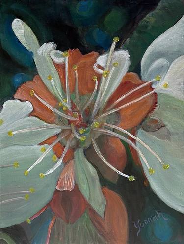 Original Fine Art Botanic Paintings by Yonnah Ben Levy